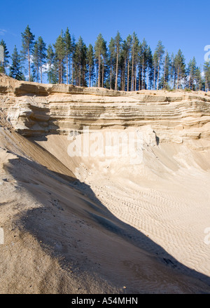 Les murs de sable de l'esker glaciaire s'émiettaient lentement en raison de l'érosion , Finlande Banque D'Images