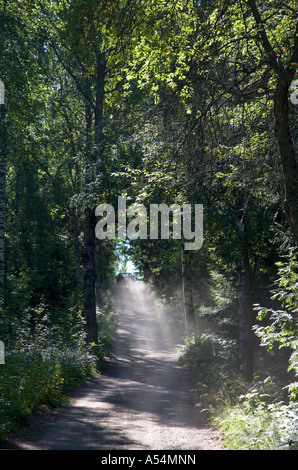 Location de la monter sur un chemin de terre étroit dans la forêt , Finlande Banque D'Images