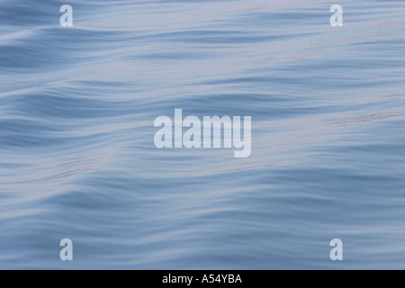 Ondes d'un voile Lac de Constance Baden-Württemberg, Allemagne Banque D'Images