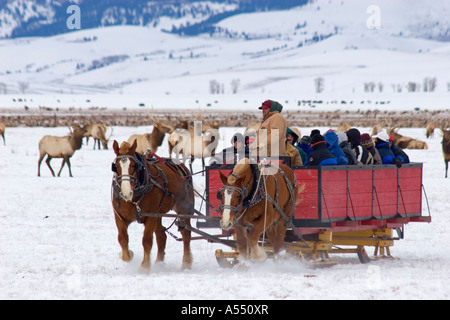 National Elk Refuge Banque D'Images