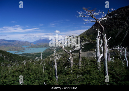 Vue sur le lac Pehoe depuis French Valley, parc national Torres del Paine, Patagonie, Chili Banque D'Images