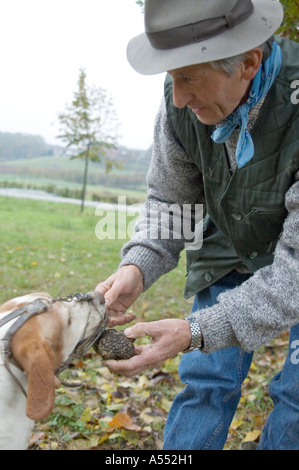 Entre Asti et Alba Piemonte Piemonte Italie truffes searcher finder hunter truffels Banque D'Images