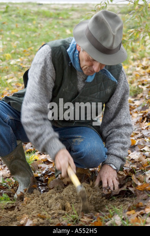 Entre Asti et Alba Piemonte Piemonte Italie truffes searcher finder hunter truffels Banque D'Images