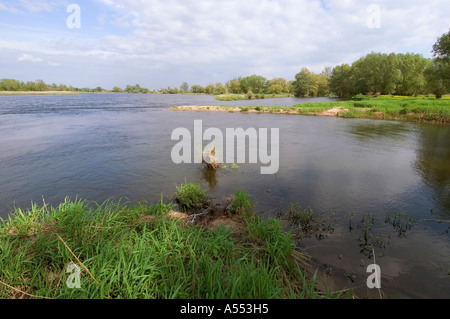 Embouchure de la rivière Neisse Neiße dans l'Oder près de Ratzdorf Allemagne Brandebourg Banque D'Images