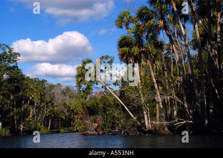 Chassahowitzka Wildlife Reserve National Wildlife Refuge Florida Gulf Coast Banque D'Images