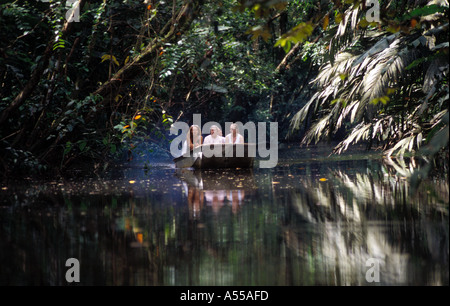 Costa Rica Tortuguero tour bateau sur canal par rainforest Banque D'Images