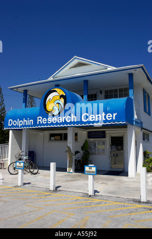 Dolphin research center florida keys clés herbeux accueil pour les malades et les blessés des dauphins usa Banque D'Images