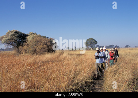 Randonnée avec guide pied safari safari à pied Okovango Botswana Delta Banque D'Images
