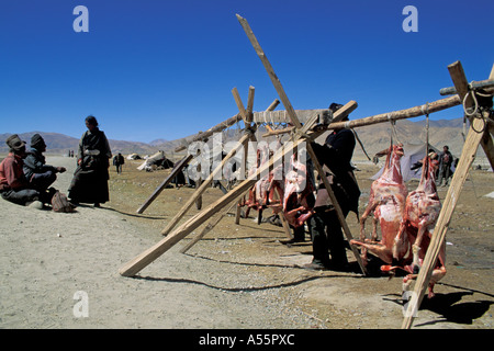 Abattage abattage nomades Tibet Banque D'Images