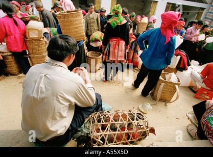 Une Poule dans un panier acheté au marché de BacHa nord du Vietnam Banque D'Images