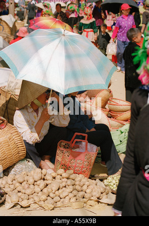 La pomme de terre pour la vente au marché de BacHa nord du Vietnam Banque D'Images