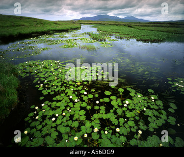 Fr - Scotland : Loch Chairnain sur South Uist montrant Mt. Et ben Corodale Hecla Banque D'Images