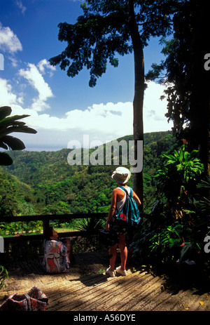 Les femmes, les touristes, le jardin de balata, tropical botanical Park, parc botanique, Tropical Botanic Park, parc botanique, Martinique, French West Indies, France Banque D'Images