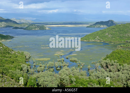 Vue de le lac de Skadar le plus grand lac d'eau douce de l'Europe, le parc national du lac de Skadar au Monténégro Banque D'Images