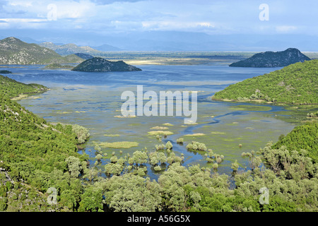 Vue de le lac de Skadar le plus grand lac d'eau douce de l'Europe, le parc national du lac de Skadar au Monténégro Banque D'Images