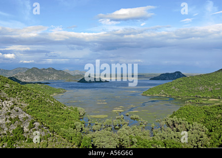 Vue de le lac de Skadar le plus grand lac d'eau douce de l'Europe, le parc national du lac de Skadar au Monténégro Banque D'Images