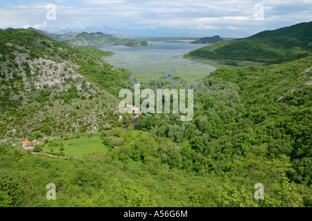 Vue de le lac de Skadar le plus grand lac d'eau douce de l'Europe, le parc national du lac de Skadar au Monténégro Banque D'Images