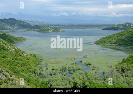 Vue de le lac de Skadar le plus grand lac d'eau douce de l'Europe, le parc national du lac de Skadar au Monténégro Banque D'Images