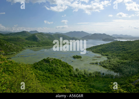 Vue de le lac de Skadar le plus grand lac d'eau douce de l'Europe, le parc national du lac de Skadar au Monténégro Banque D'Images