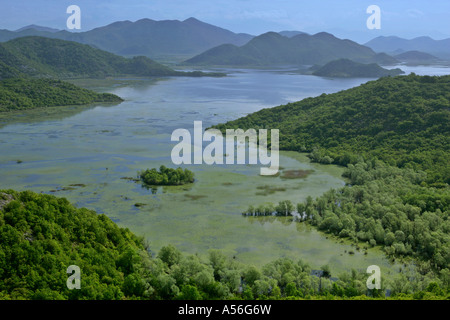 Vue de le lac de Skadar le plus grand lac d'eau douce de l'Europe, le parc national du lac de Skadar au Monténégro Banque D'Images