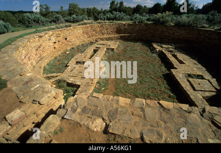 Kiva au Lowry pueblo dans les Canyons of the Ancients National Monument, Colorado, USA Banque D'Images