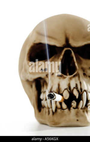 Crâne avec cigarette, close-up Banque D'Images