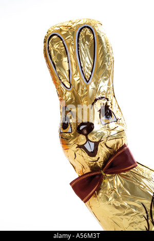 Chocolate bunny, close-up Banque D'Images