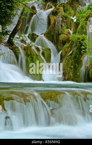 Plitvicer seen Kroatien cascades à travers la forêt du Parc National de Plitvice Croatie Banque D'Images