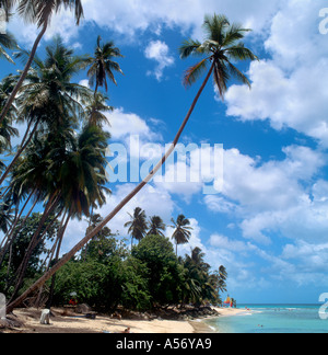 Plage sur la côte ouest, la Barbade, Antilles, Caraïbes Banque D'Images