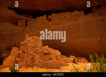 Ruines de la maison blanche, falaise, Habitation anasazi canyon de Chelly national monument, navajo Indian Reservation, arizona Banque D'Images