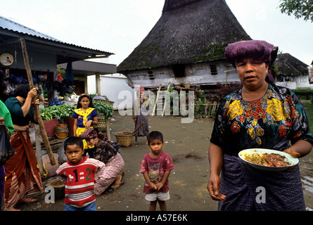 Long House Karo Batak Ajijulu Banque D'Images