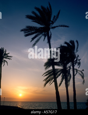 Coucher du soleil sur la plage près de Le Grand Hôtel de l'îles Kerkennah, Tunisie, Afrique du Nord Banque D'Images