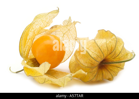 Physalis physalis frais de saison fruits exotiques tropicales chine chinois aigre doux lanterne jaune graines séchées orange papier Banque D'Images