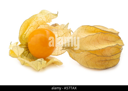 Physalis physalis frais de saison fruits exotiques tropicales chine chinois aigre doux lanterne jaune graines séchées orange papier Banque D'Images