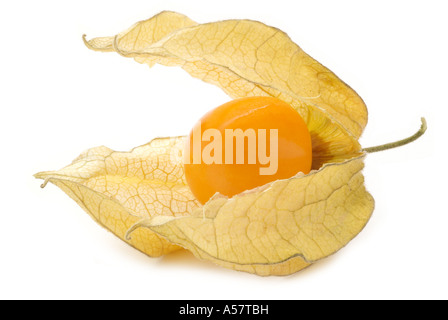 Physalis physalis frais de saison fruits exotiques tropicales chine chinois aigre doux lanterne jaune graines séchées orange papier Banque D'Images