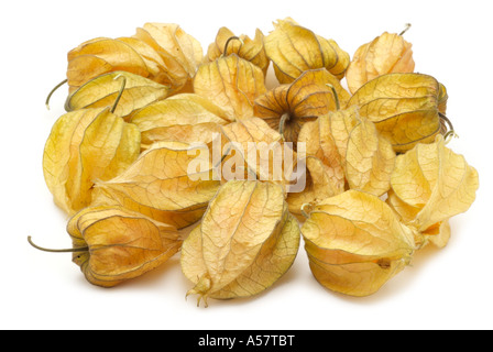 Physalis physalis frais de saison fruits exotiques tropicales chine chinois aigre doux lanterne jaune graines séchées orange papier Banque D'Images