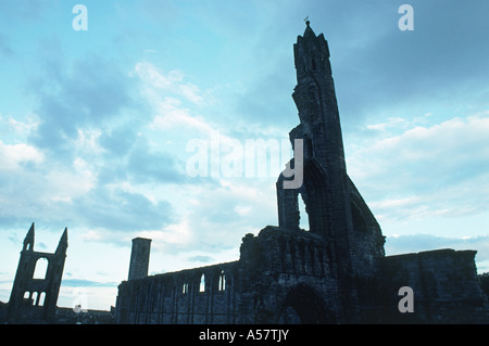 La Cathédrale de St Andrews, Écosse Banque D'Images