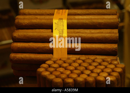 Un paquet de cigares Banque D'Images