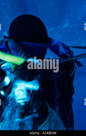 Retour et une bouteille d'un plongeur sous l'eau Banque D'Images