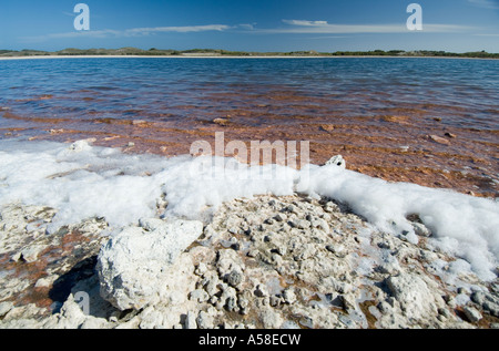 La sécheresse, le lac de séchage avec des dépôts de sel sur le rivage du lac, Herschel, Rottnest Island, Australie de l'Ouest, février 2007 Banque D'Images