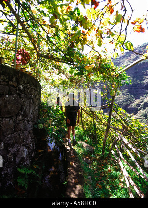 dh Levada dos Curral SOCORRIDOS VALLEY MADEIRA Walkers randonnées randonnées randonnées couple ramblers chemin de pied levadas personnes Banque D'Images