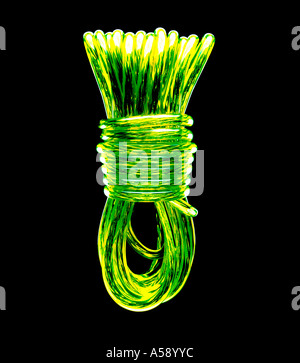 Ligne de lavage en spirale. Photo par Patrick Steel patricksteel Banque D'Images