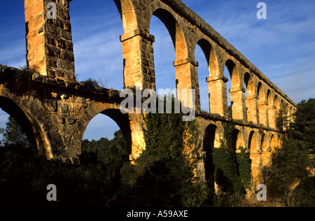 Aqueduc Aqüeducte de les Ferreres Tarragone Espagne Banque D'Images