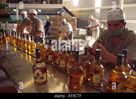 Ligne de production de tequila sauza tequila tequila factory, Mexique Banque D'Images