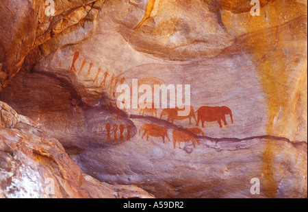 San peintures dans le complexe de grottes, Stadhall Cederberg, Wilderness, Afrique du Sud Banque D'Images