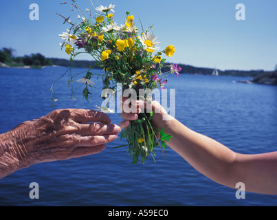 Petit-enfant offrant bouquet de fleurs sauvages à grand-mère Banque D'Images