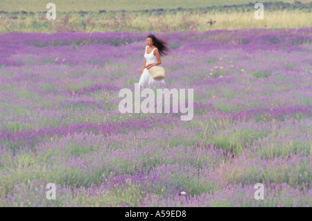 Femme en robe blanche se déplaçant dans champ de lavande en Provence Banque D'Images