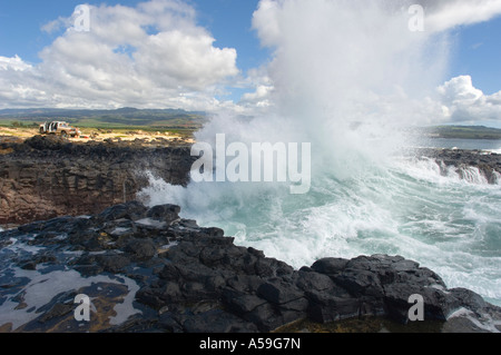 Vagues se briser, Kauai, Hawaii, USA Banque D'Images