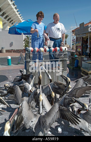 La jetée dans le golfe du Mexique est une attraction populaire au centre-ville de St Petersburg en Floride avec la ville en vue Banque D'Images