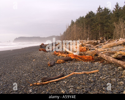 Le Rialto Beach Olympic National Park Washington USA Banque D'Images